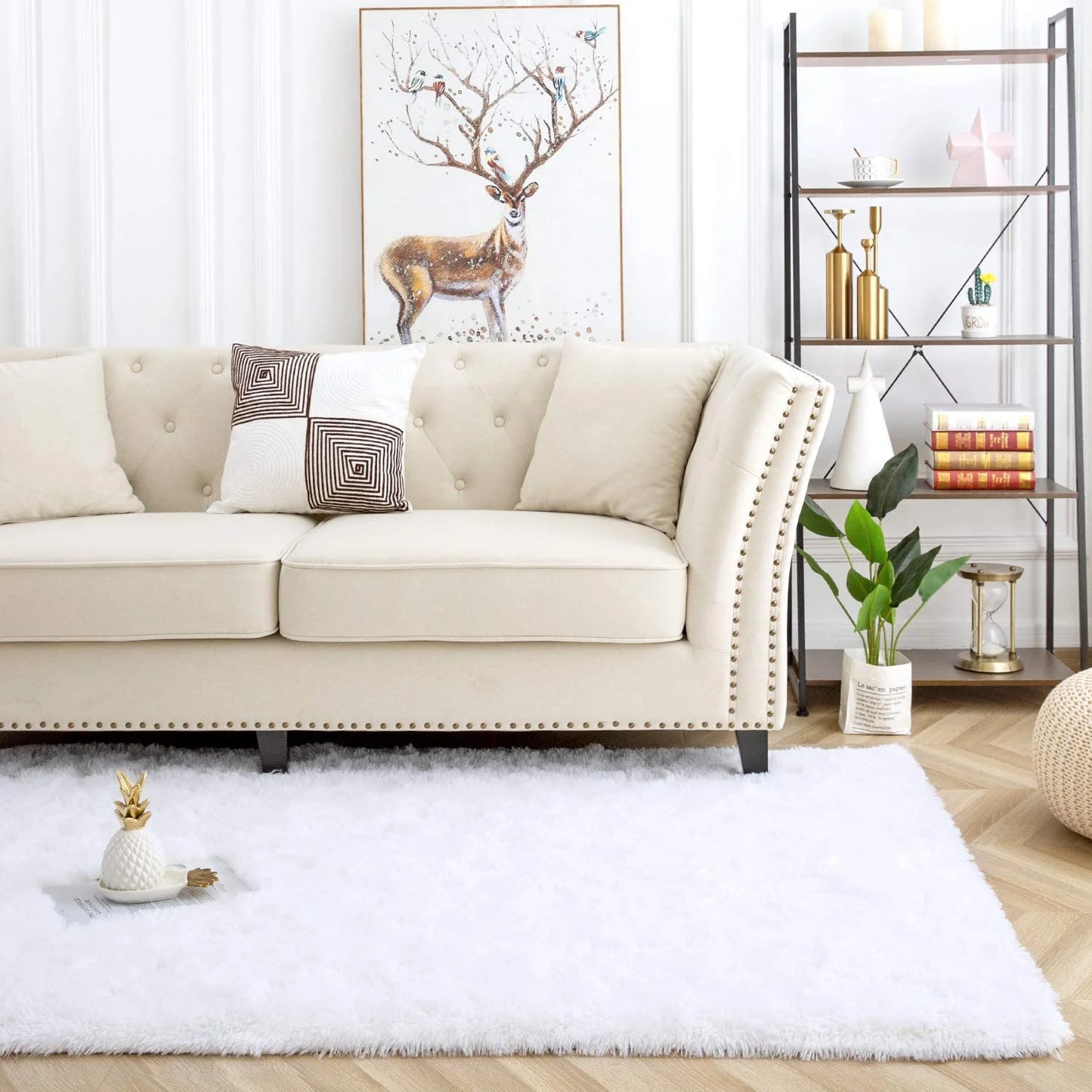 Luxury Fluffy Rugs Ultra Soft Shag Rug for Bedroom Living Room Kids Room,6'X9',White