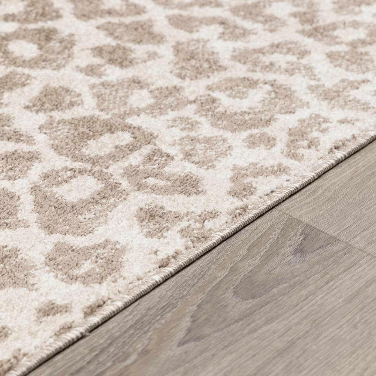 Bonhill Modern Animal Print Area Rug for Living Room, Bedroom, Dining Room - Bohemain Leopard Print Carpet - Tan, Terracota, Brown, Beige, Ivory - 8'10" X 12'