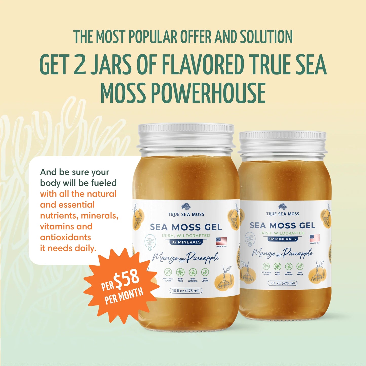 True Sea Moss Superfood
