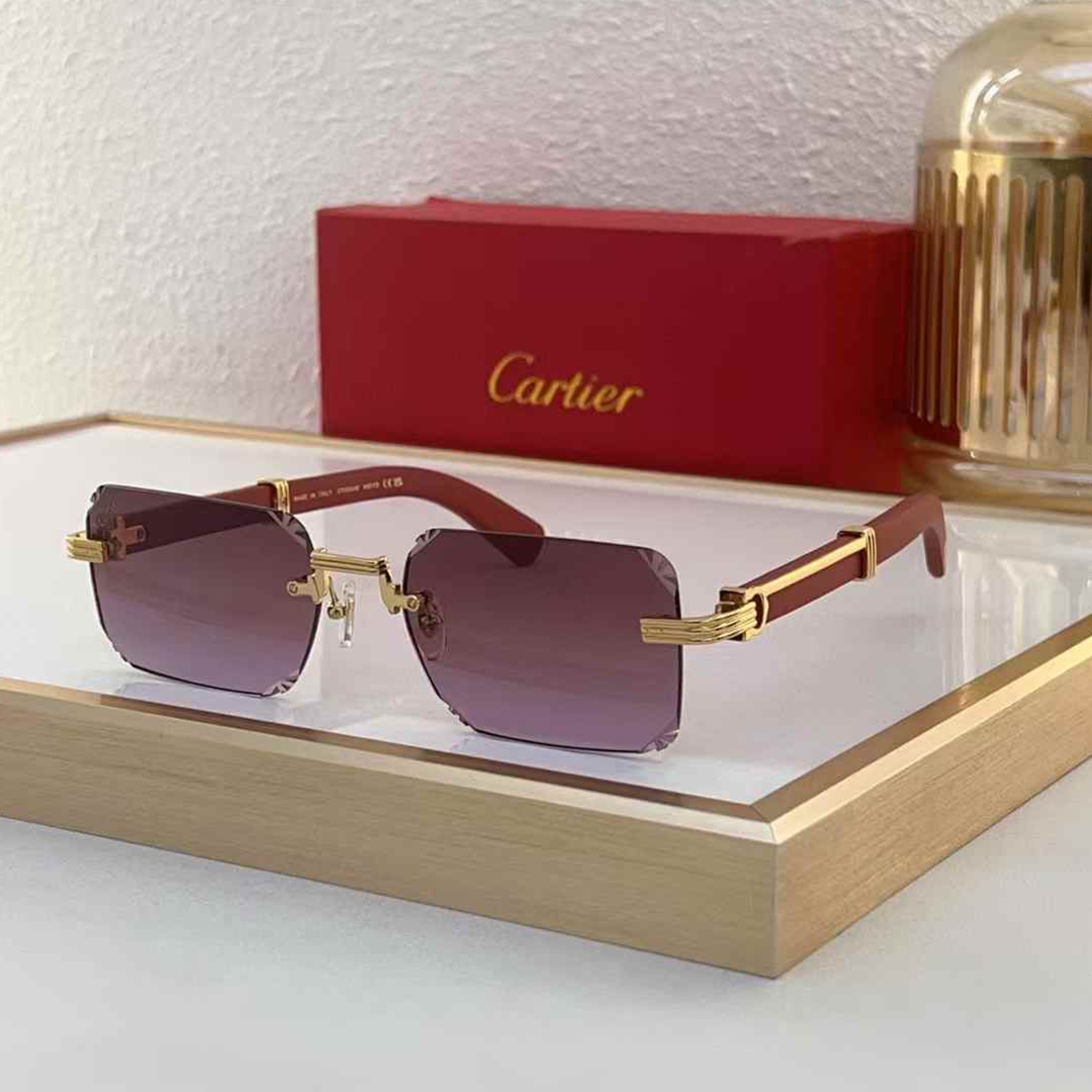Regal Visionaire Frames Eyewear