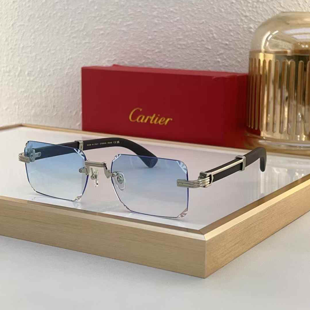 Regal Visionaire Frames Eyewear