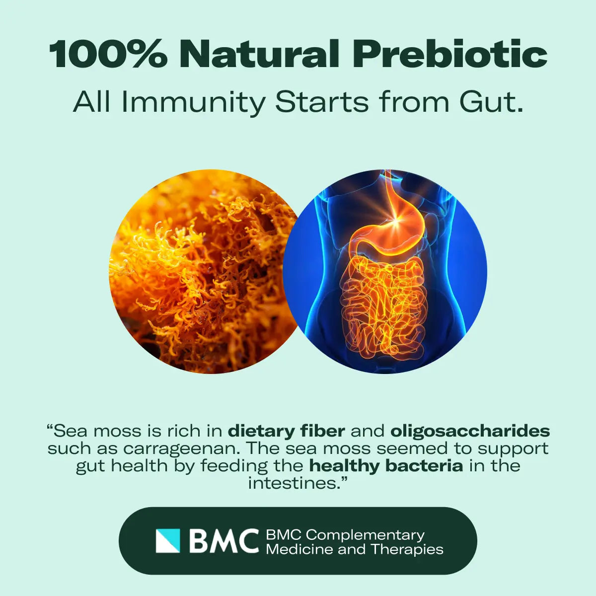 True Sea Moss Superfood