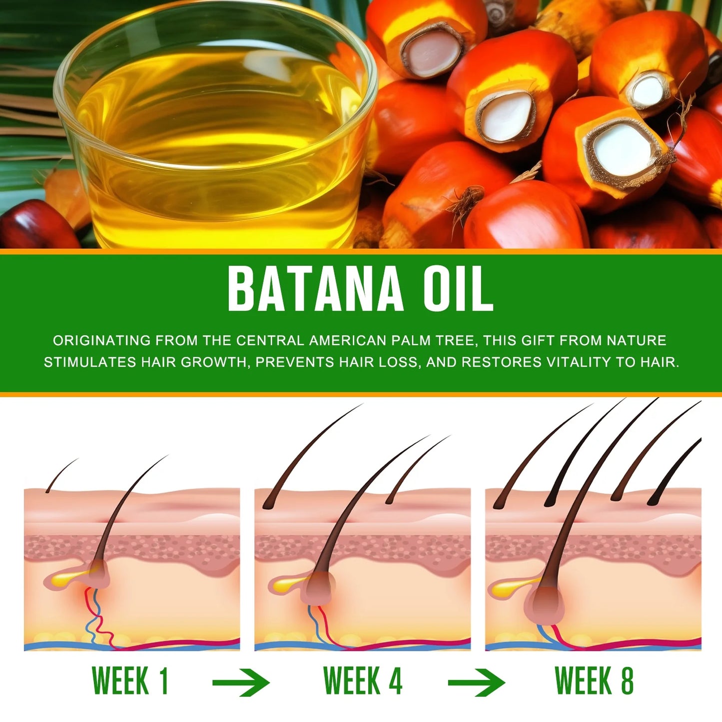 Batana Oil-Natural Conditioner-Moisturizes Hair & Scalp-100% Pure & Natural Organic Essential Oil for Hair,Skin-4.04 Fl.Oz